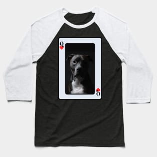 Pit Bull Baseball T-Shirt